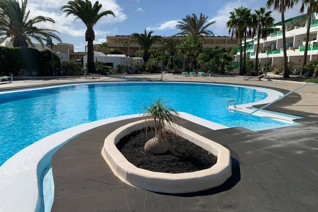 Apartamento Bastian Casas Verdes Costa Teguise Eksteriør bilde